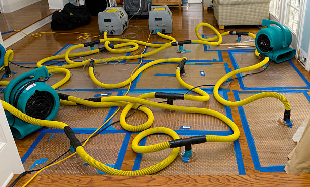 Professional Structural Drying And Dehumidification technician working in Hunter, TN